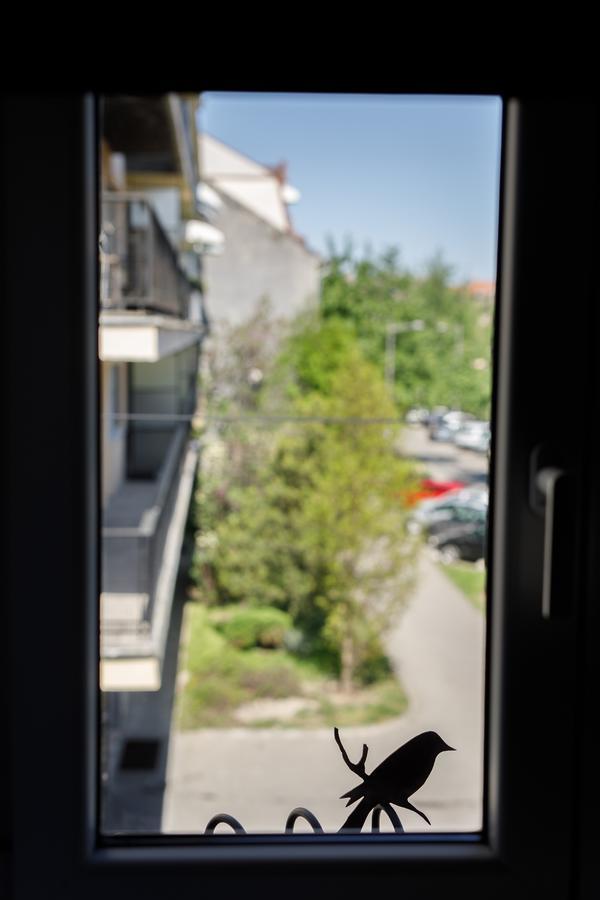 Arhiv Boutique House Hotell Novi Sad Exteriör bild
